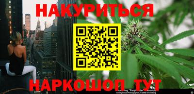 PSILOCYBIN Балахна
