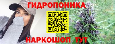 PSILOCYBIN Балахна