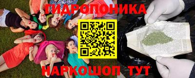 PSILOCYBIN Балахна